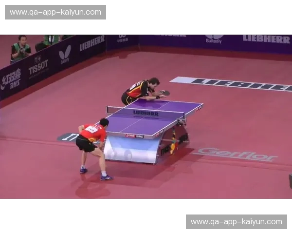 乒坛绝代双骄：波尔与马龙的巅峰对决与传奇传承